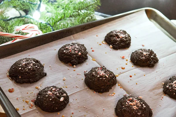 Peppermint Mocha Cookies_sheet tray-0144.jpg