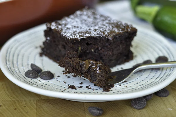 Chocolate Zucchini Cake_CU melted chocolate.jpg
