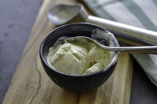 Condensed Milk Ice Cream_Bowl Melty CU.jpg