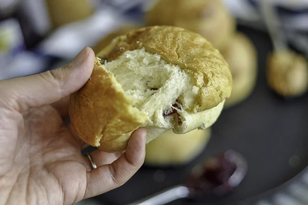 Peanut Butter and Jelly Bun_Feathery pull and jam.jpg