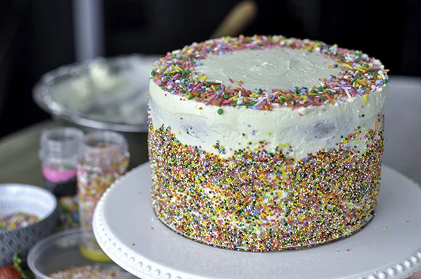 Strawberry Birthday Cake_full decorated mess.jpg