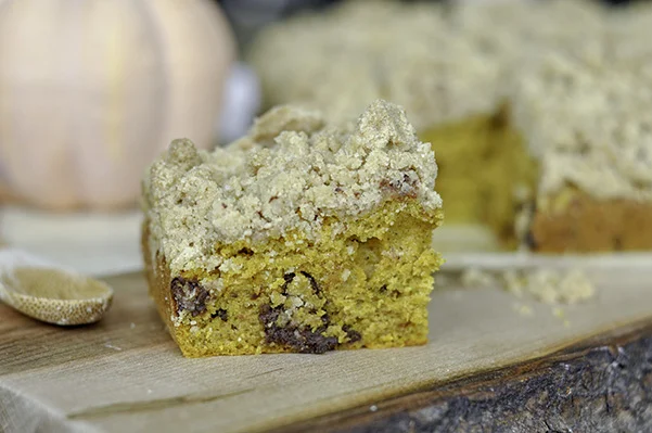 Chocolate Chip Pumpkin Crumb Cake_ECU slice.jpg
