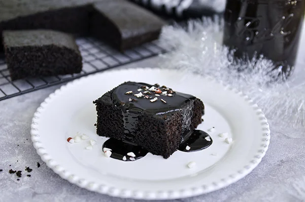 Peppermint Mocha Cake_Perfect Slice.jpg