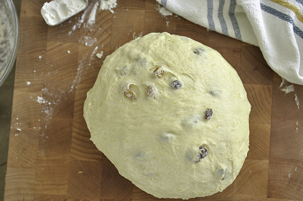 Milk Bread Pannetone_raisin dough ball.jpg