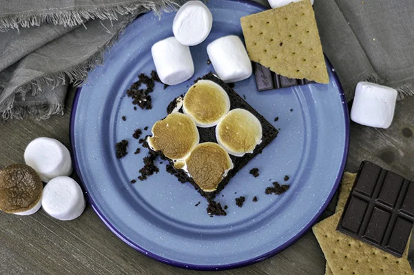 Campfire Snack Cake_overhead plate.jpg