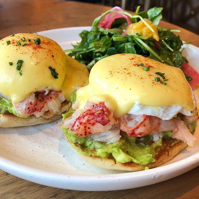 Thanks a brunch to Del Mar for serving me the most perfectly poached eggs today #hosted #cbusfoodauthority
⠀⠀⠀⠀⠀⠀⠀⠀⠀
🍳: Lobster Benedict - Poached Eggs, Avocado, English Muffin, and Hollandaise from @delmarcolumbus. I&rsquo;m a firm believer that if