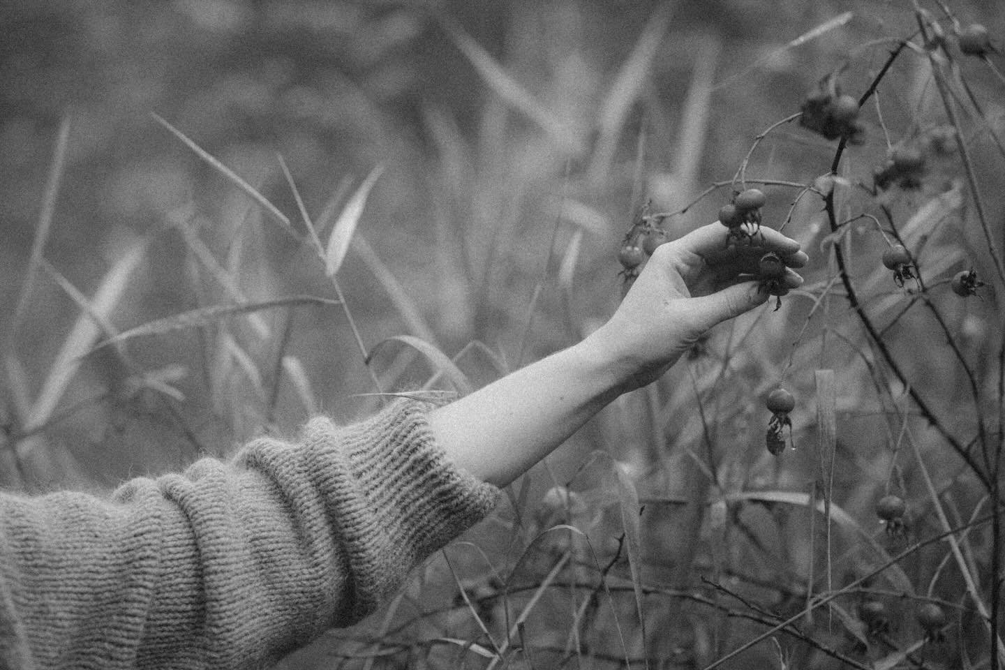 I&rsquo;m thinking a lot about the energy of 2026 and what it will mean for my business. The year of the snake is coming to an end and the year of the horse is fast approaching. And so as the last shedding of what has been, gives way to a sense of mo