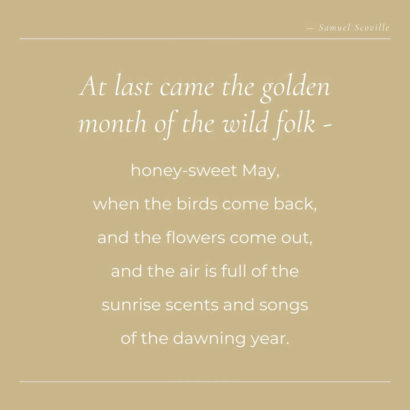 Is it May that brings change? An Earth month that feels grounded, intentional and full of purpose. Since January I have been working so hard on many projects, and it has felt at times my goals have been too lofty, unfocused at times. With so many int