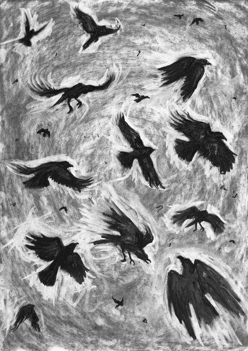 The Crows are Coming