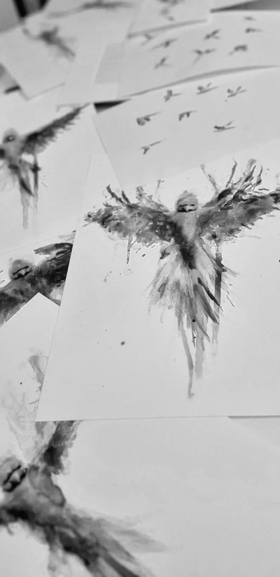 parakeets prints.jpg