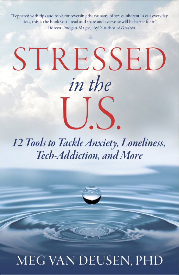 Stressed in the US Front Cover (1).jpg