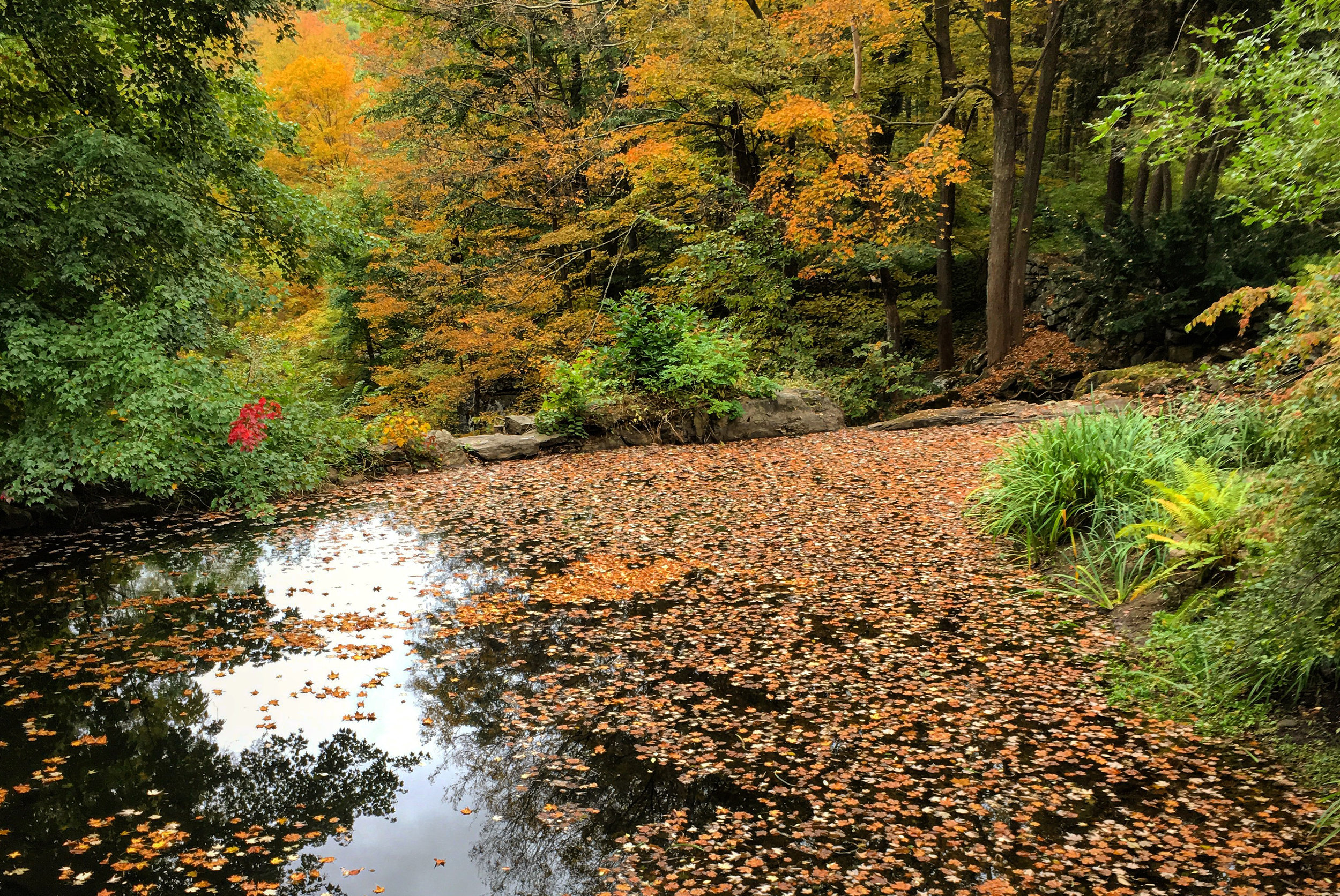  The Konkapot River in Autumn 