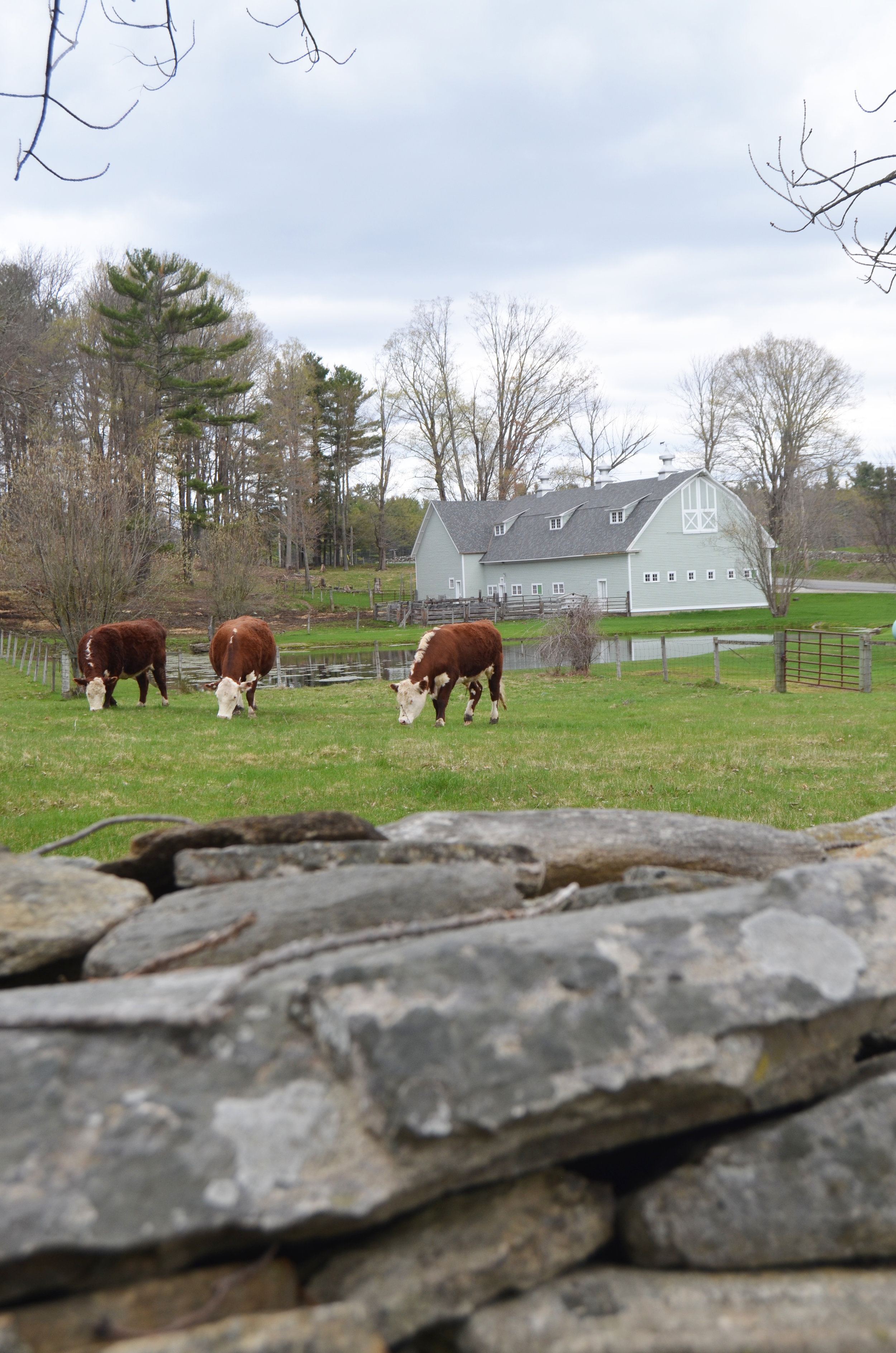  Freeman Elms Farm 