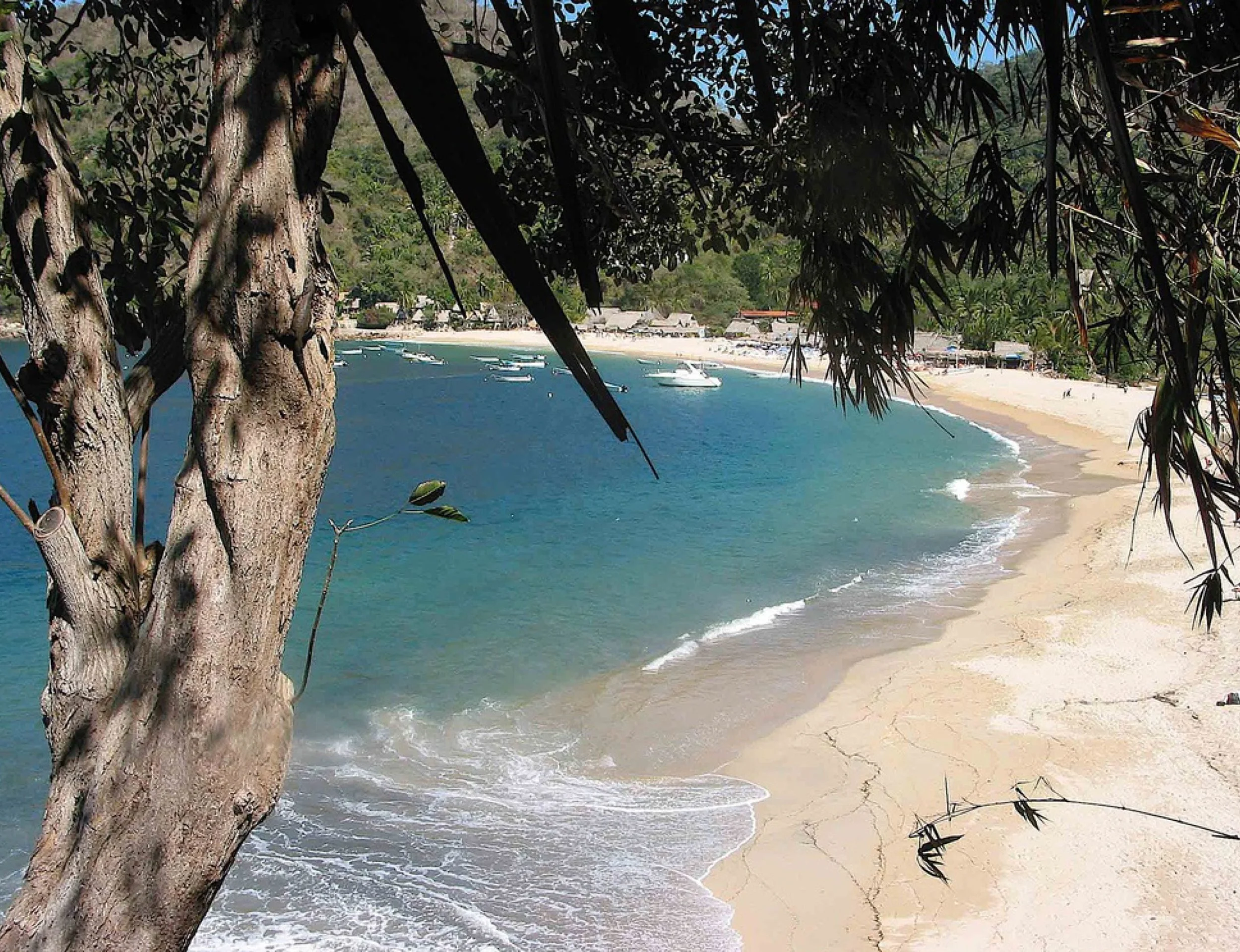 Yelapa beach photo  copy.jpeg