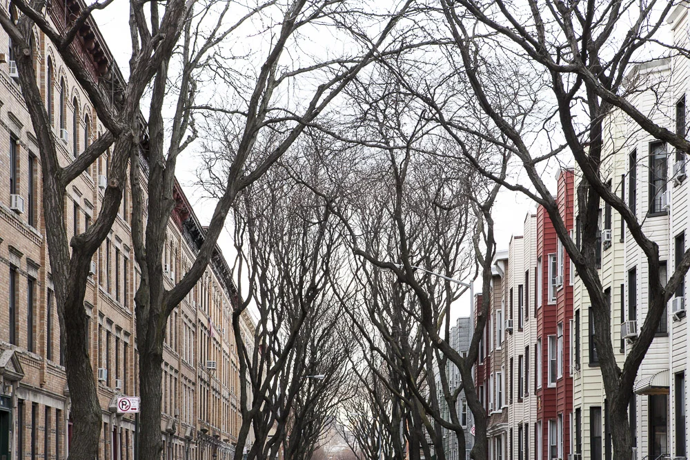 williamsburg - Brooklyn
