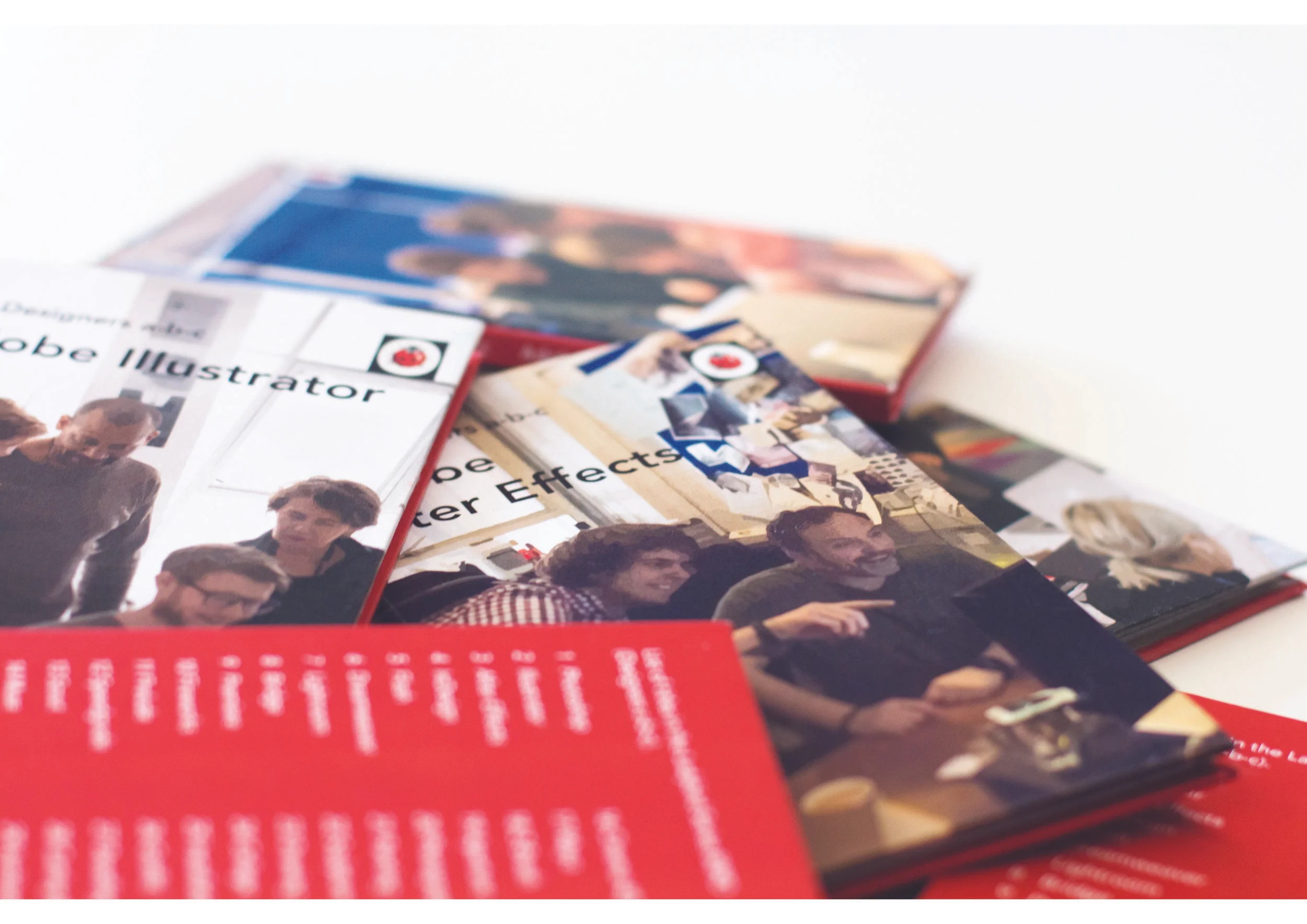 Vintage Ladybird 50th Anniversary Competition