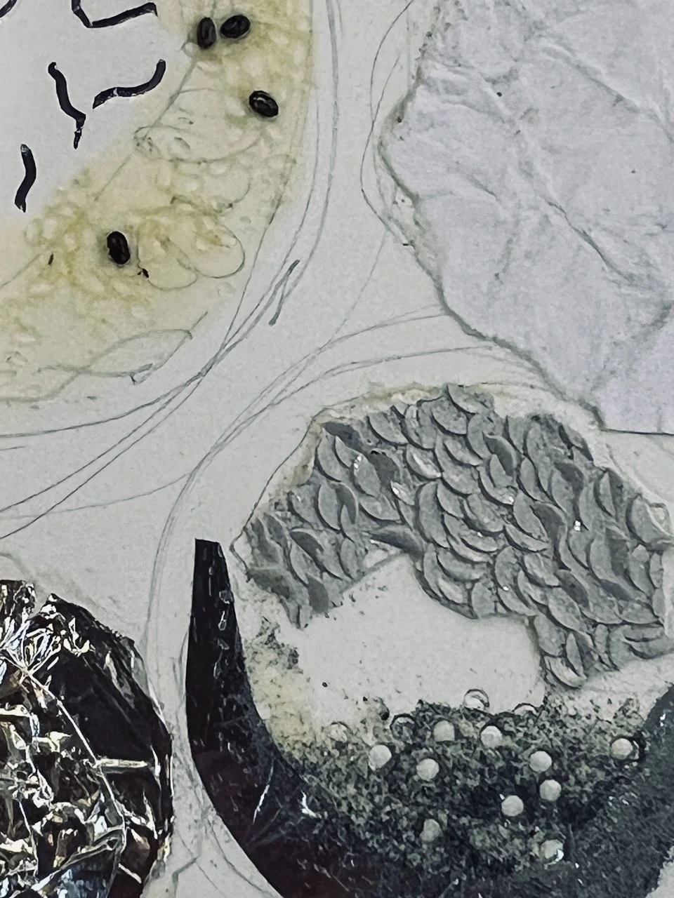 Collagraph Shells collagraph printing — no5workshops