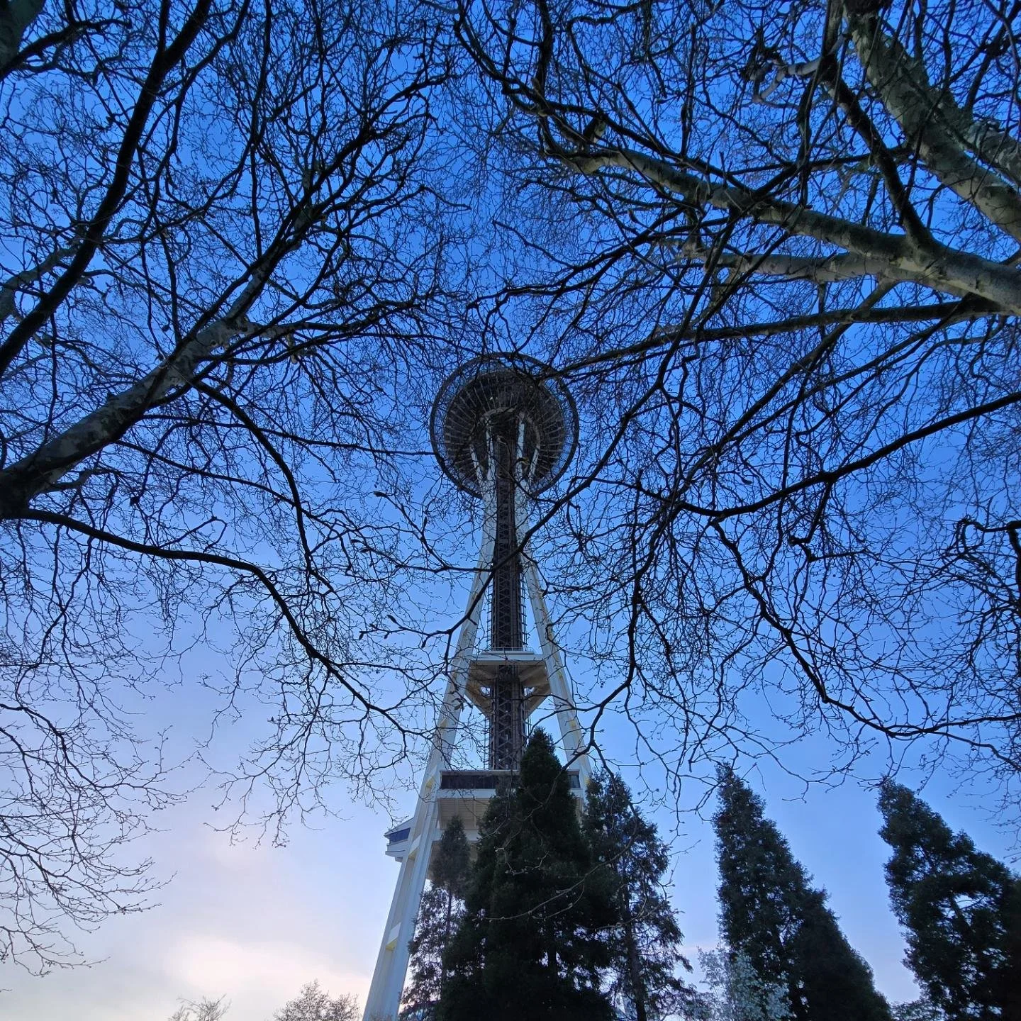 Always such a pretty view... Even at  different angles

#seattleneedle #seattle #washington #architecture #manandnature #travel #urbanjungle