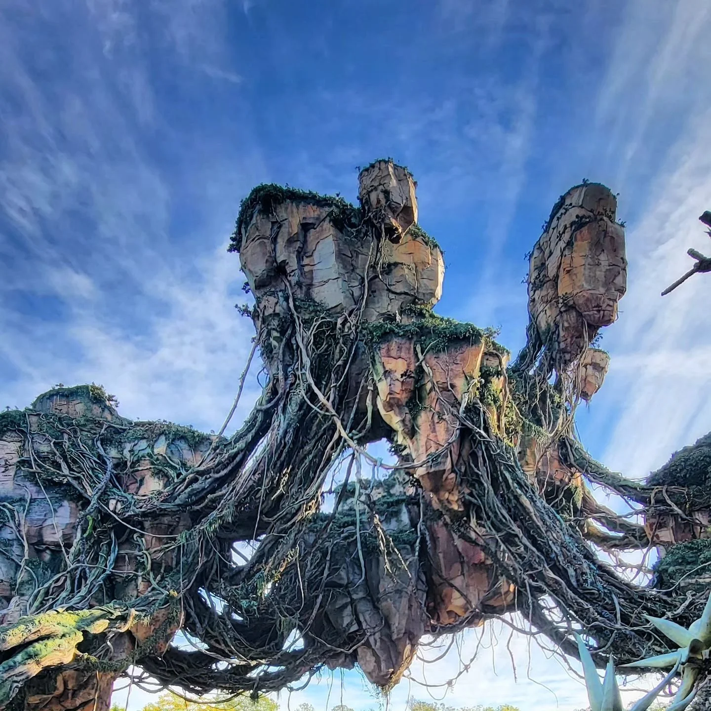 Never too old to see Pandora! I guess the real animals are cool too

#disneyworld #animalkingdom #pandora #orlando #manoj2024