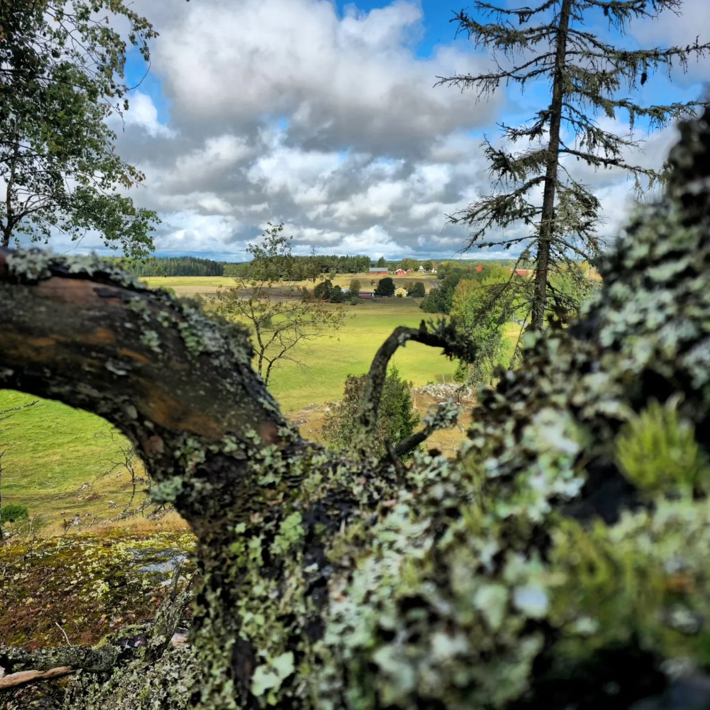 Beautiful!

#granby #stockholm #sweden #landscape #earthporn #travel #portrait