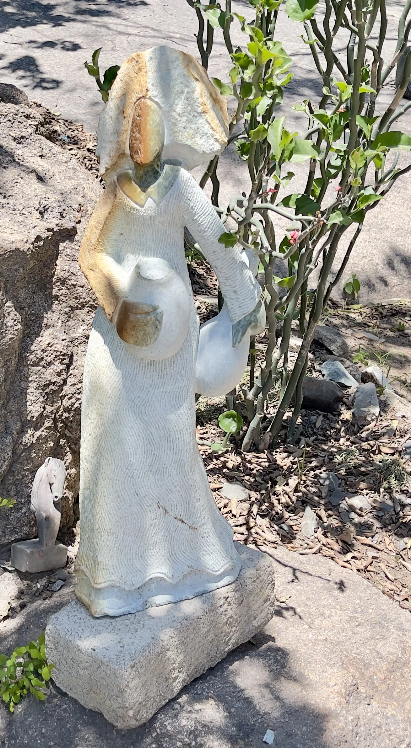 IMG_7446.jpg