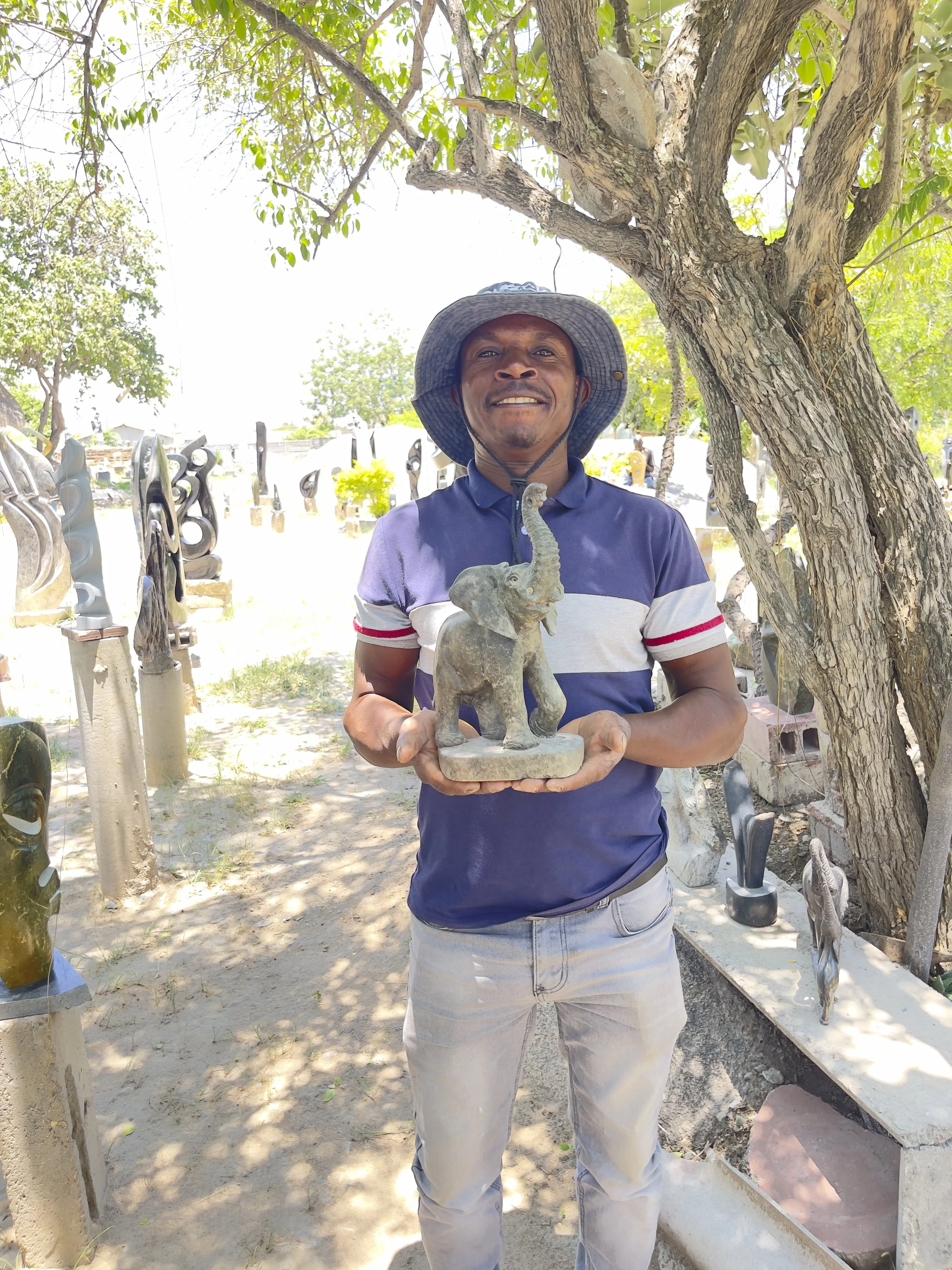 Elephant and IC.jpeg