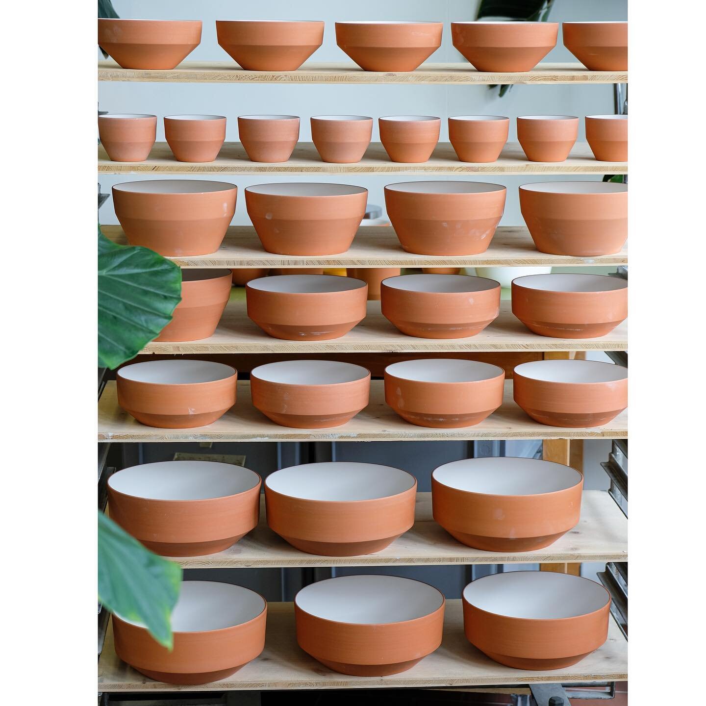 terra

#paulaceramics #ceramics #cups #plates #bowls #terra #terracotta #productivity #pottery #potterystudio #handmade #tableware #craft #swissmade