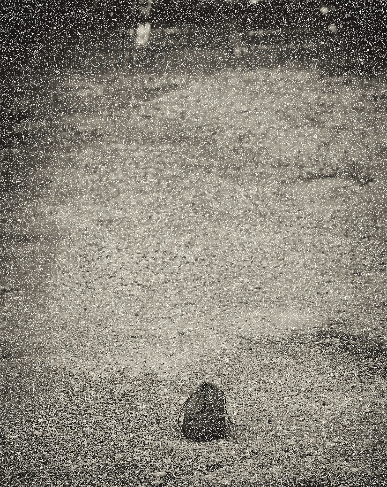 Blog Covere ShoeDSC_3333.jpg