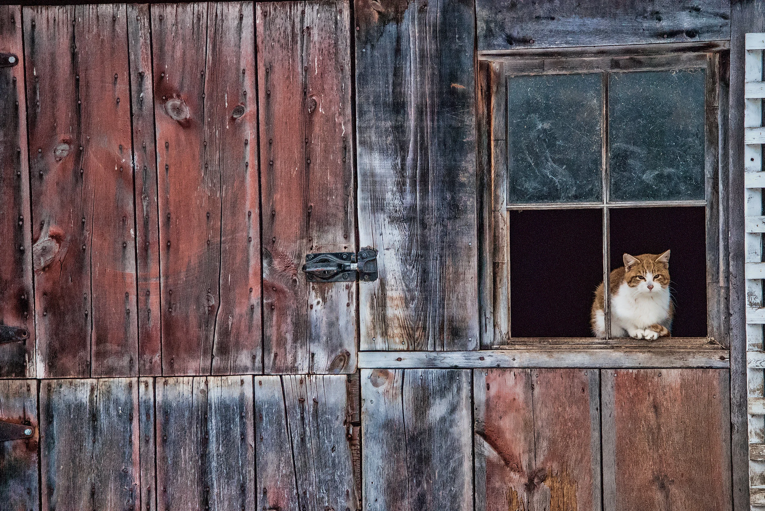 Driftless Wisconsin Farm