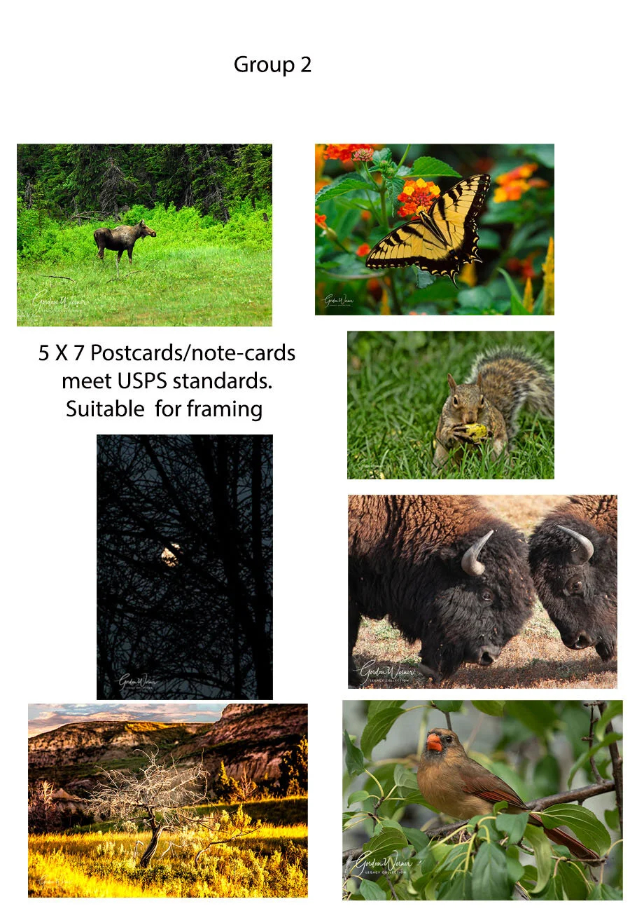 Maser Sheet-1.jpg