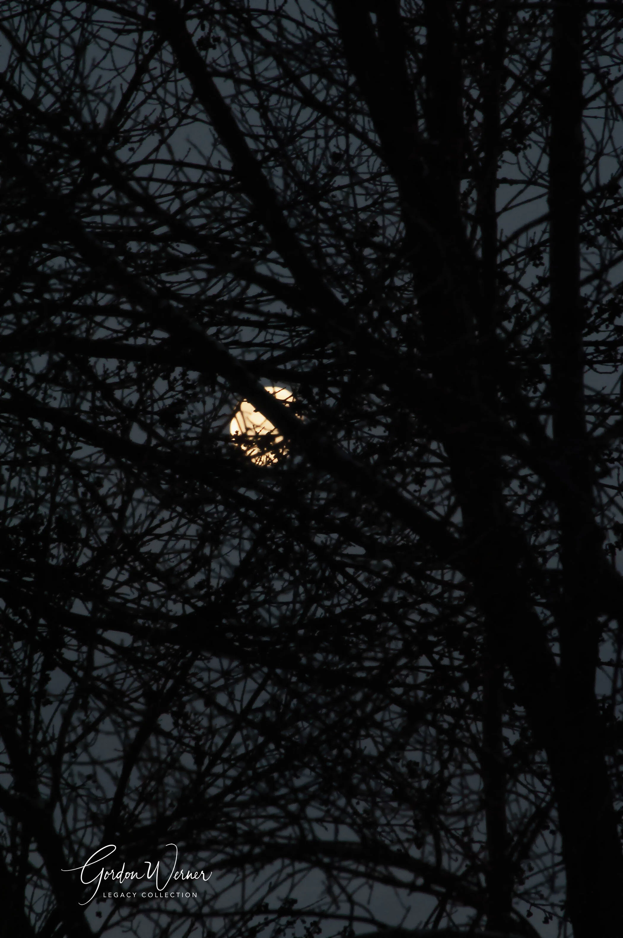 Full moonDSC_7570-2.jpg