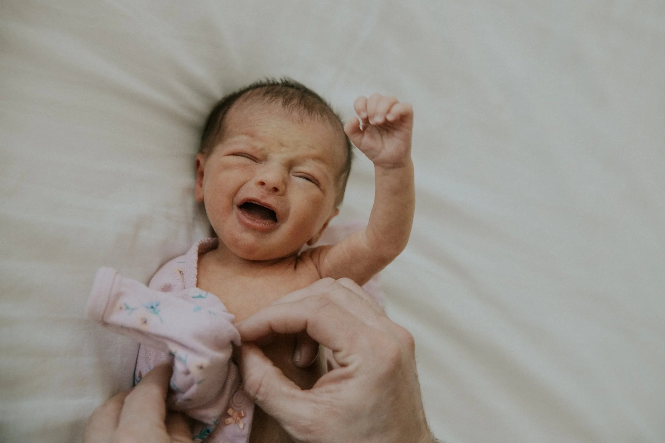 BABY HARPER