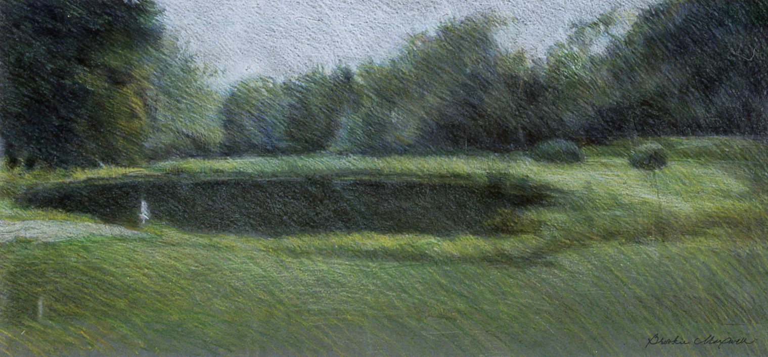 <b><i> The Pond Before They Came </i></b>
