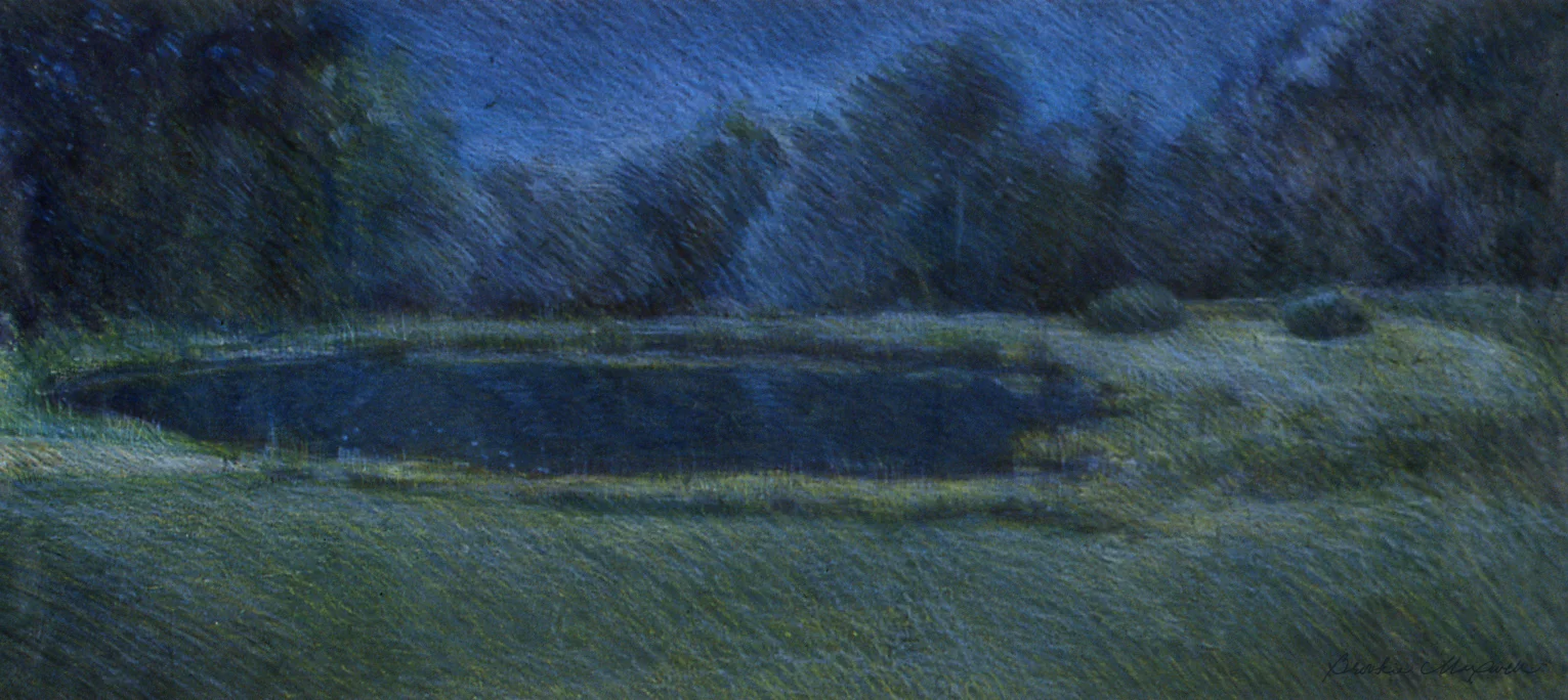 <b><i> The Pond After They Left </b></i>