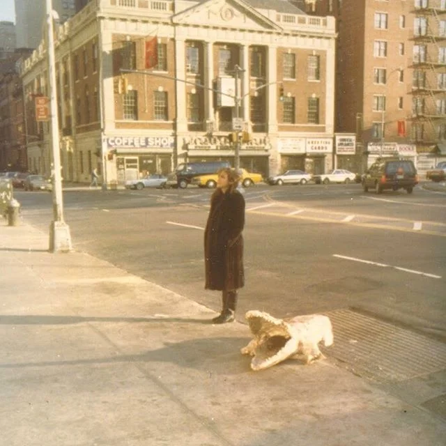🌸 this month - head on over to our Tumblr for a reflection on the process of “Gators” (1988)