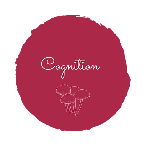 Cognition Lions Mane.png