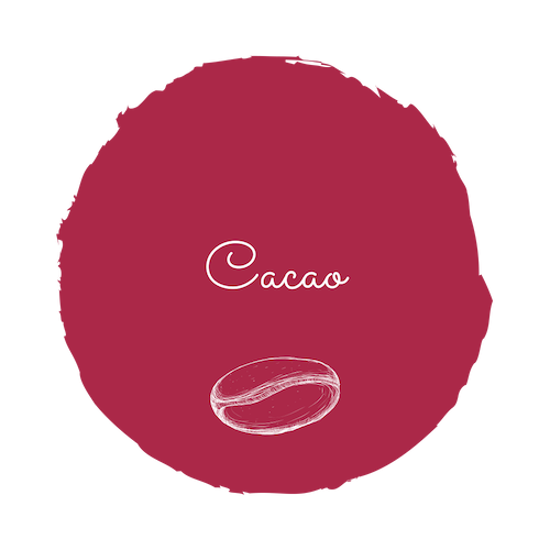Cacao.png
