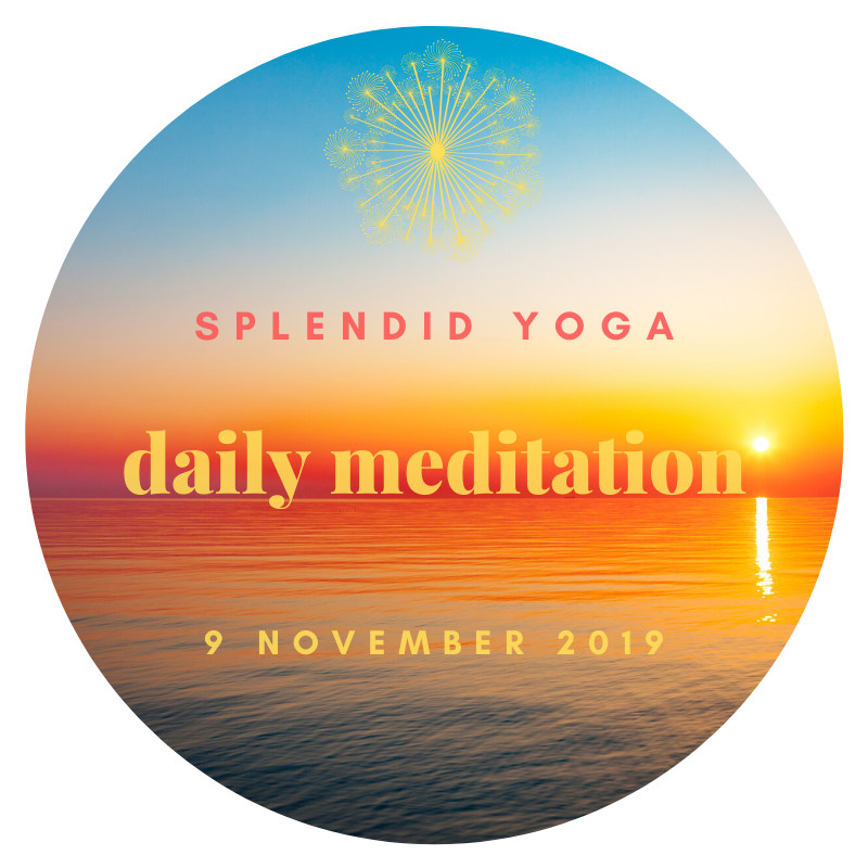 Daily Meditation: Gratitude Cures Suffering