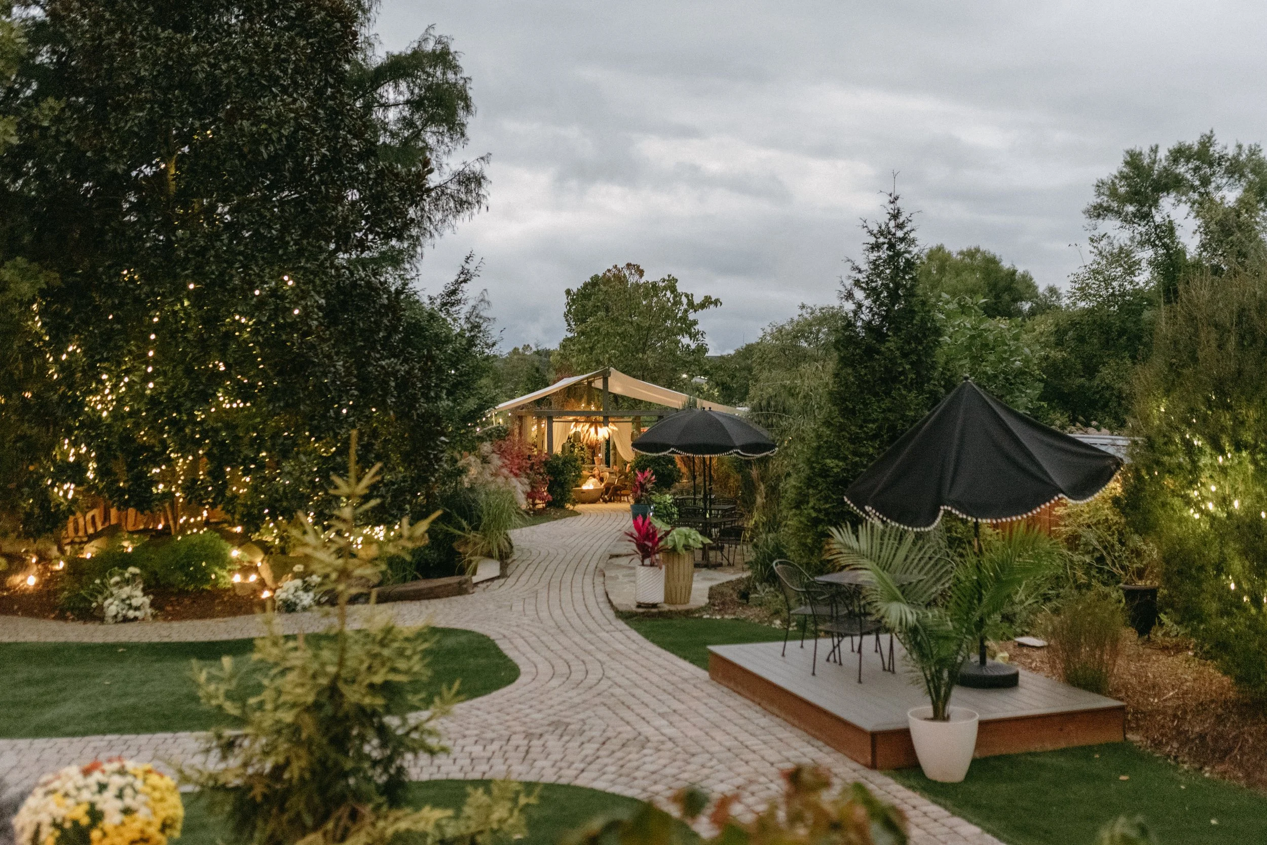 Bar Nights  - Kitty-Oke 