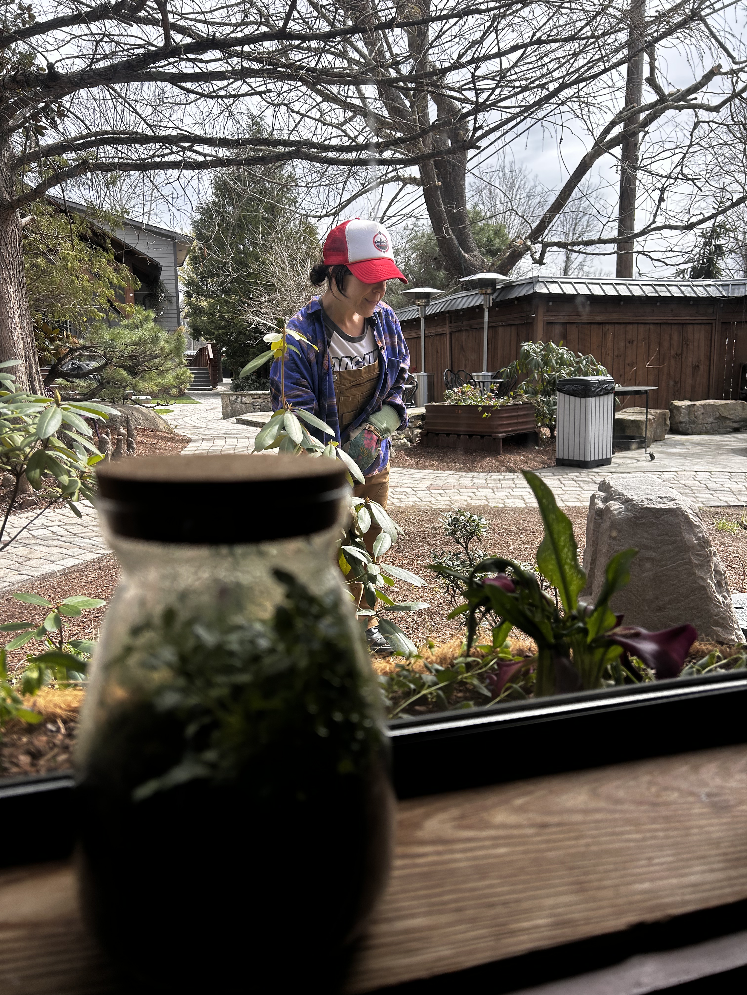 Bar Nights  - Happy Hour Horticulture: Kokedama