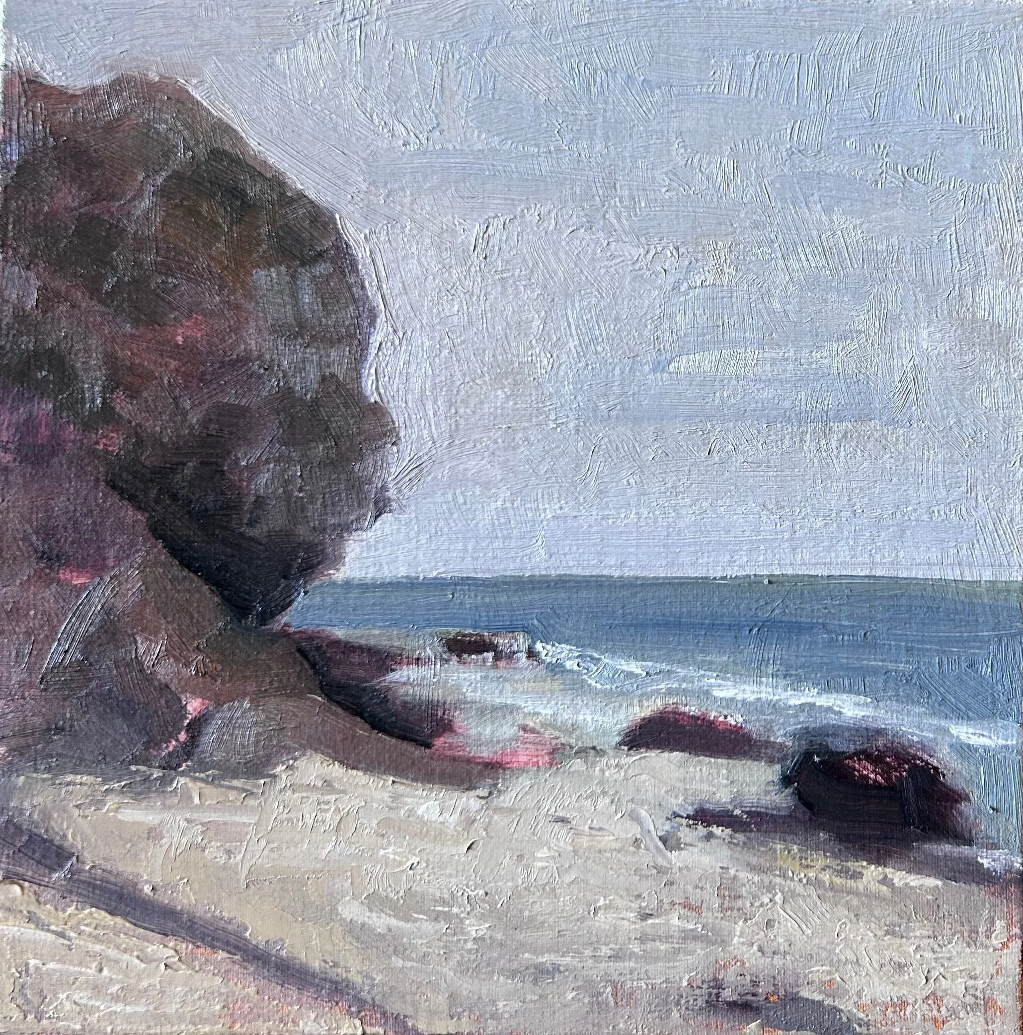 2026 Aliso Creek Beach.jpeg