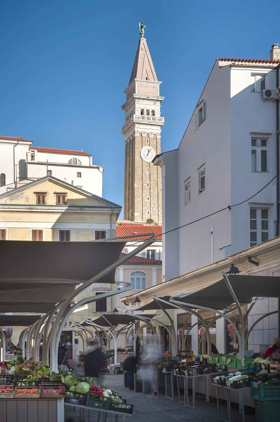 _DSC8553_Trznica_Piran_foto_Janez_Marolt (web).jpg