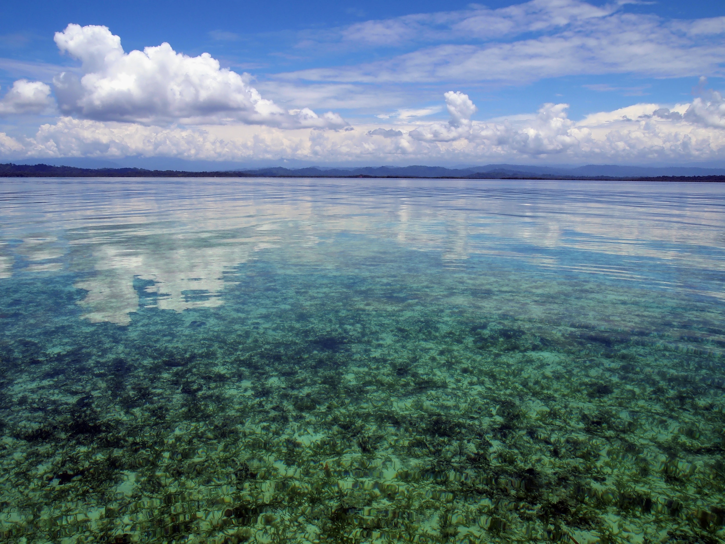 Bocas del Toro Panama.jpg