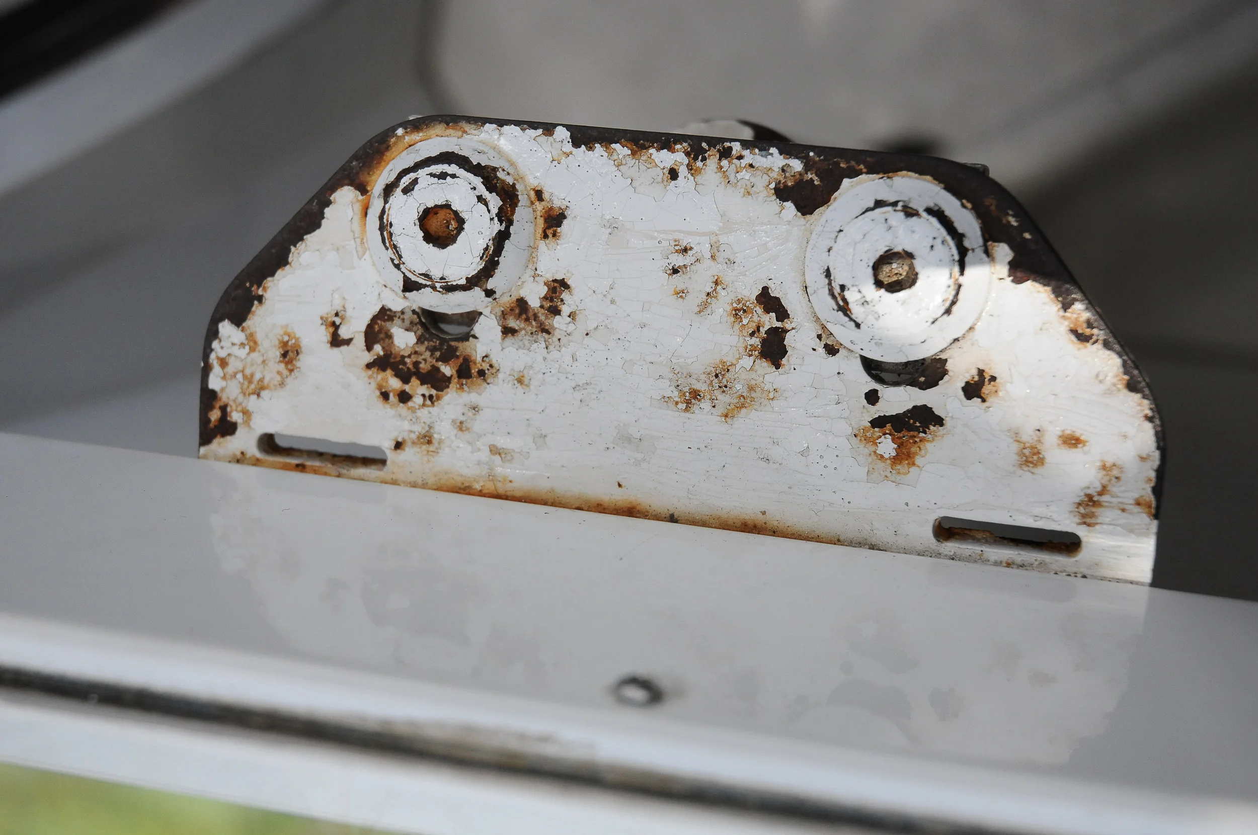 happy_things_050517-23.jpg