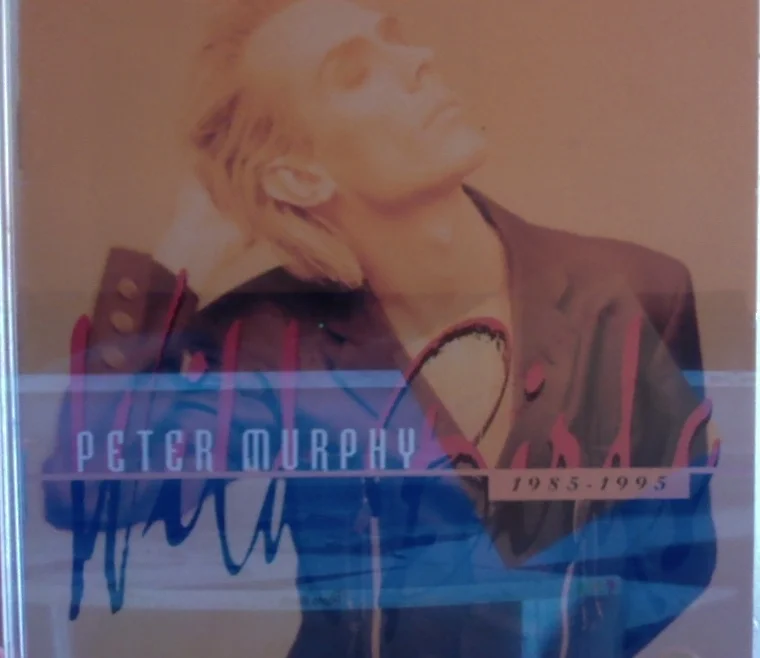 The Wild Birds of Peter Murphy 