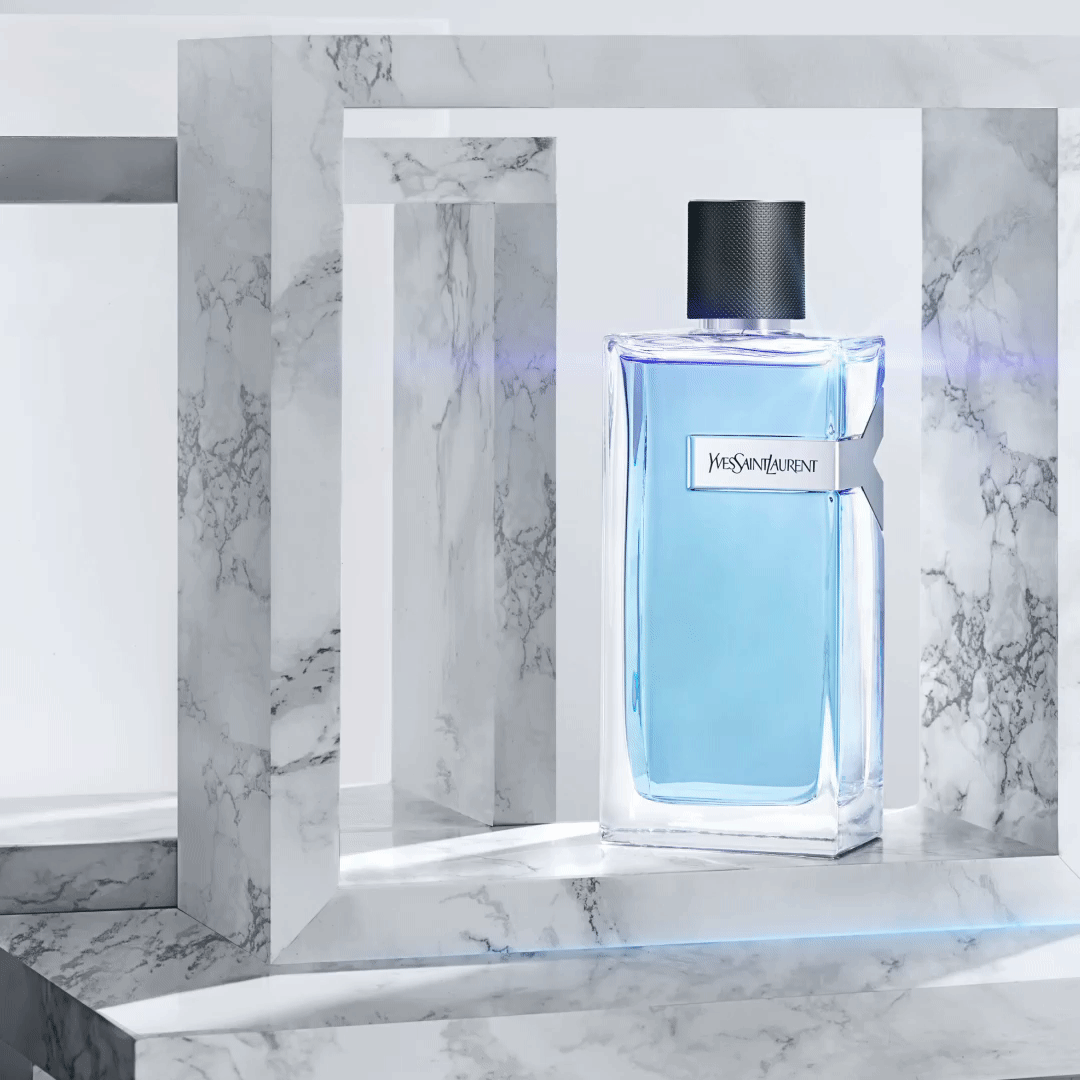 YSL-2-new.gif