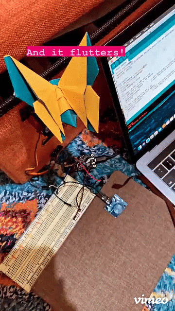 Flutterfly v1.0-high.gif