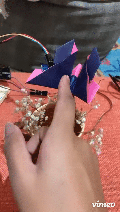 Flutterfly v2.0-high.gif