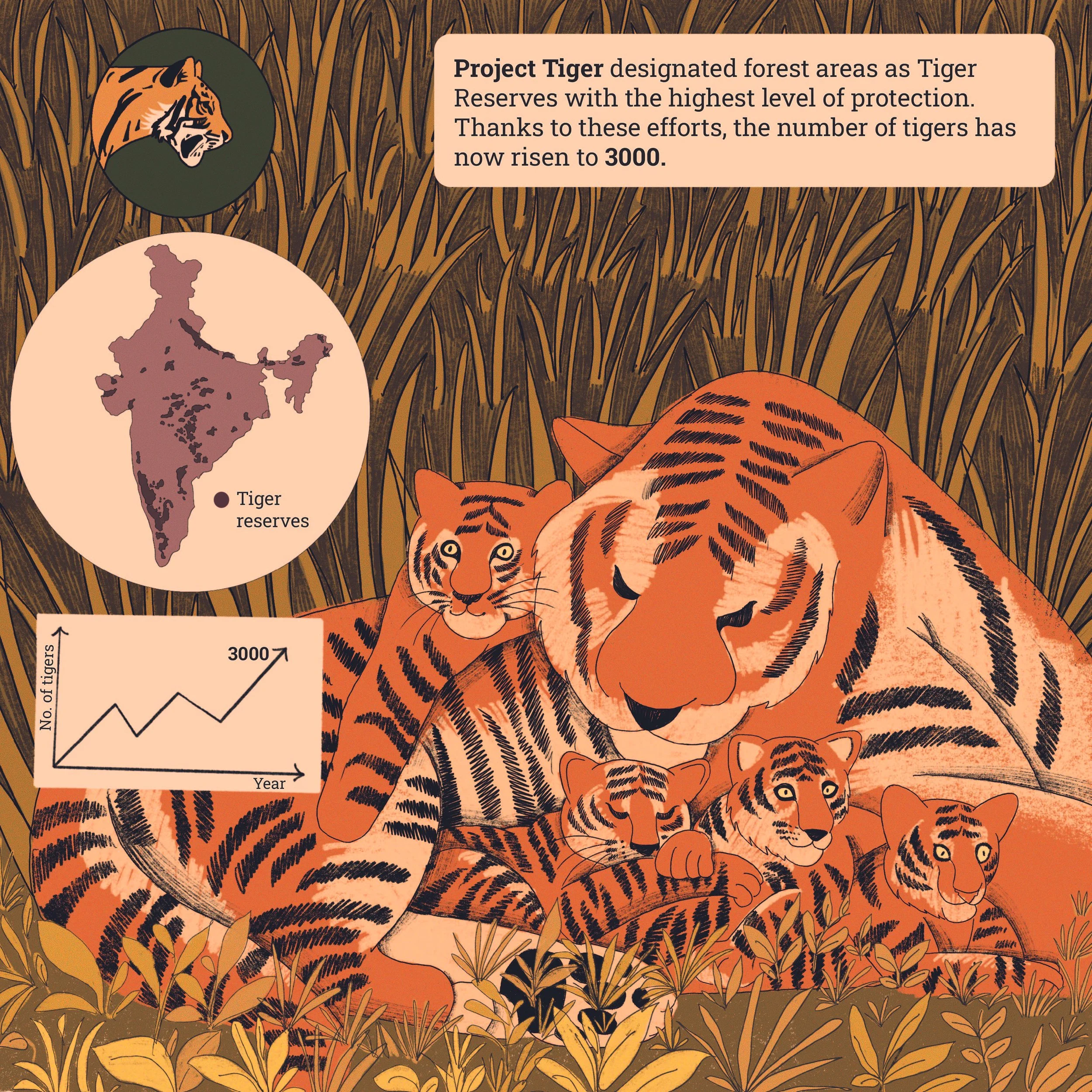 03-16ptConnectingTheTigers.jpg