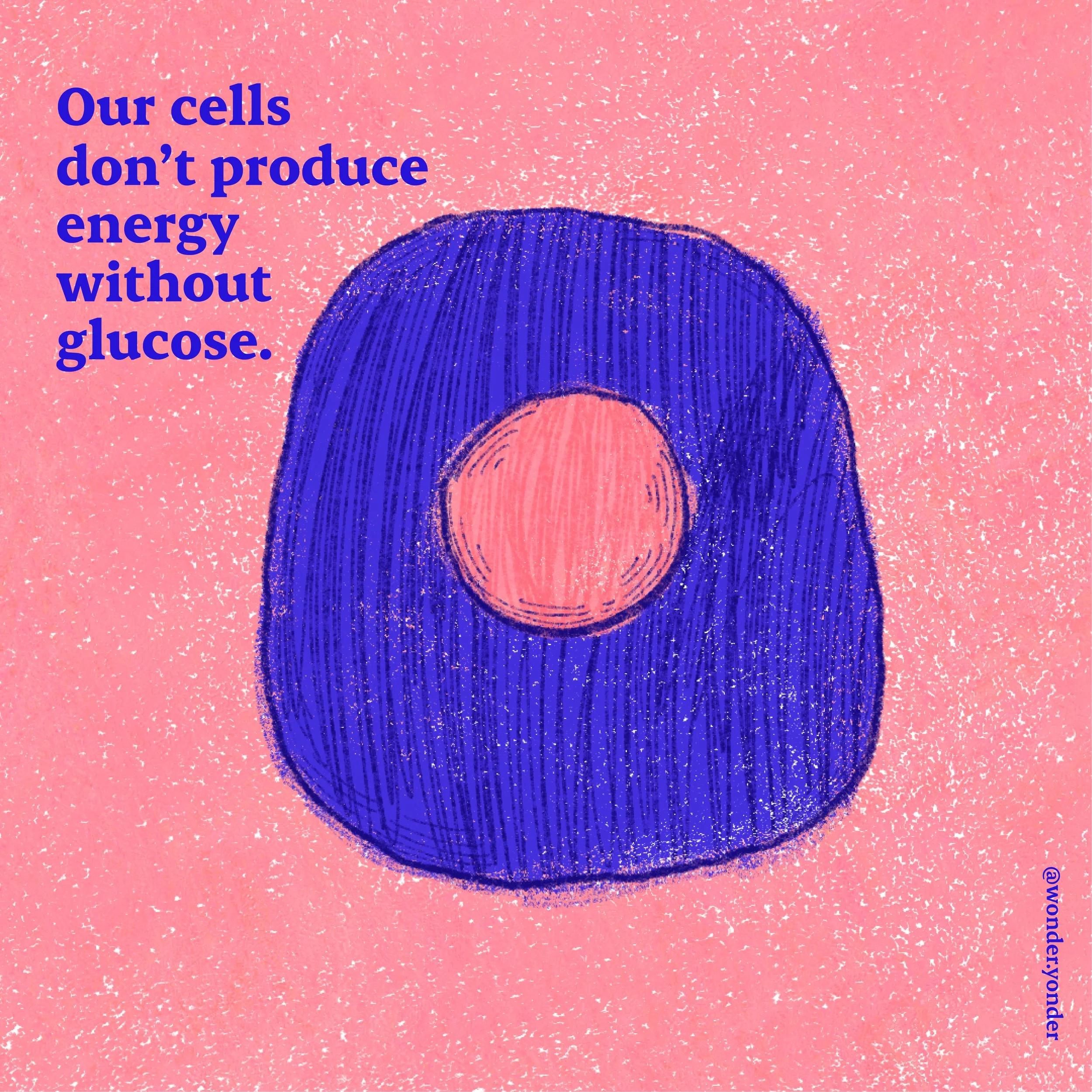 Diabetes-explainer-WonderYonder-10.jpg